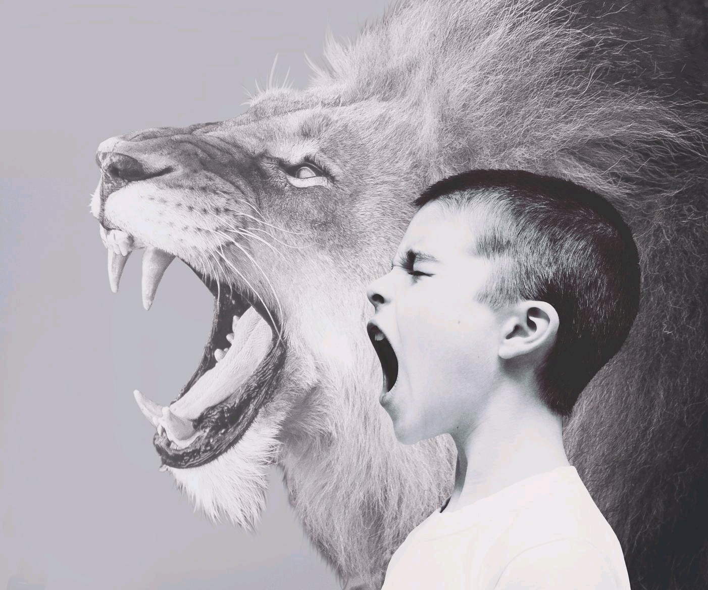Löwe und Kind brüllen - Weiterbildungslehrgang Kinderpsychodrama